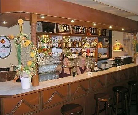 מלון Victoria פלזן