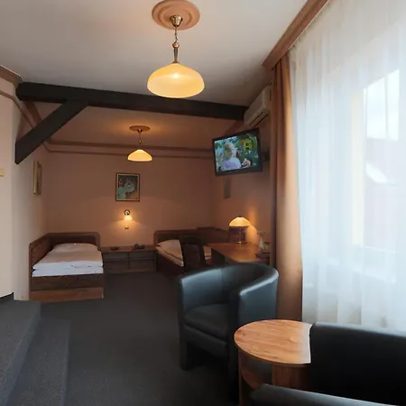 מלון Victoria פלזן